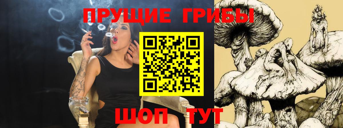 Псилоцибиновые грибы MAGIC MUSHROOMS  Вход с VPN  Галлюциногенные грибы мухоморы  Нижний Тагил 
